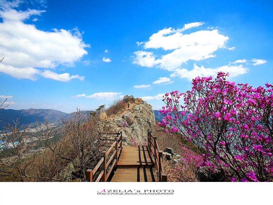 경남 진해 산행(1부)/장복산(덕주봉)&산벚꽃.진달래 핀 멋진 능선길을 따라서 .. 【19년3월31일】 