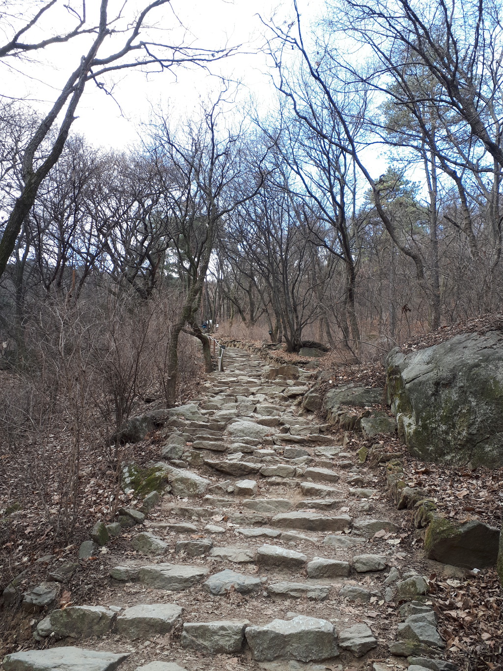 도심속의 100대 인기 명산 청계산에 오르다