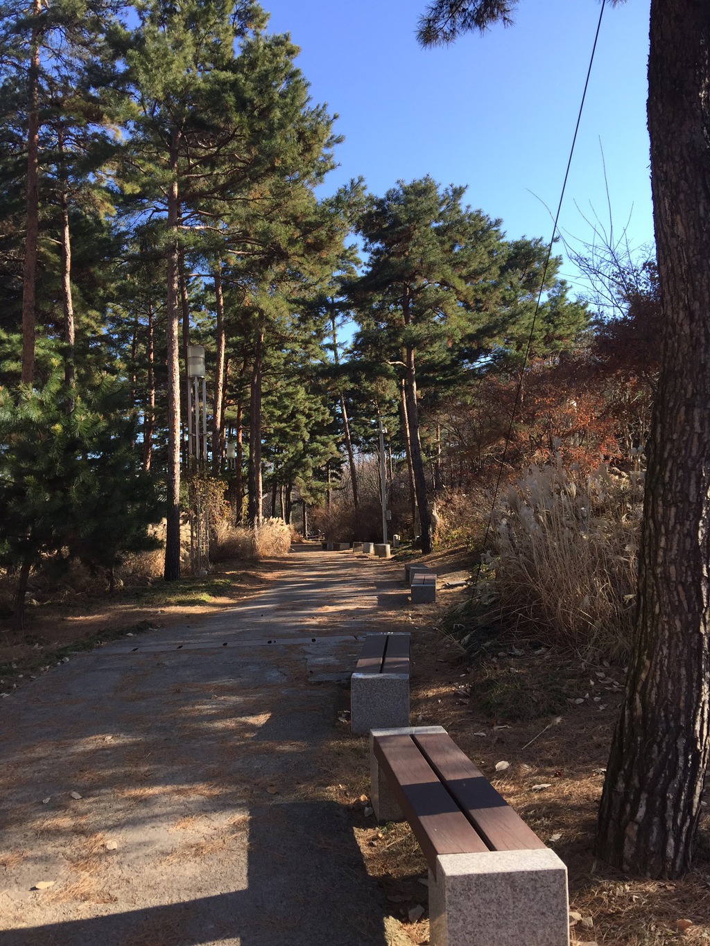 국립중앙 박물관의 안 뜰. 