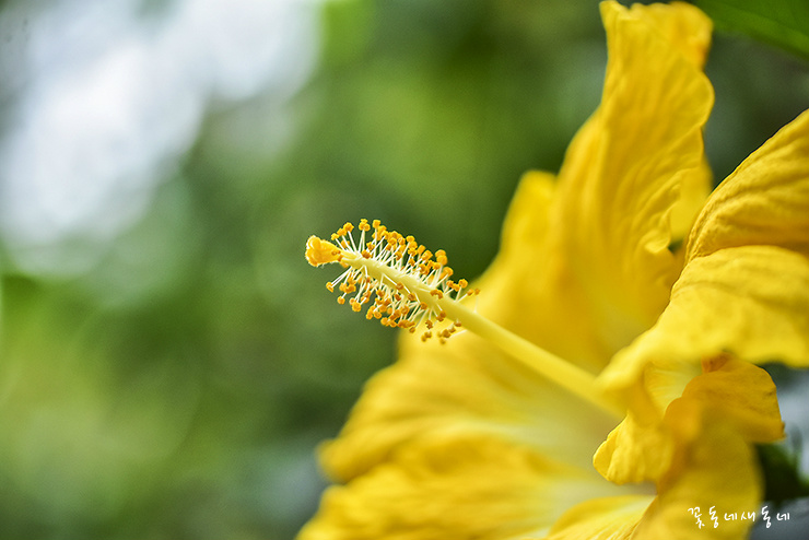 셰익스피어가 중년에게 주는 교훈 아홉가지 