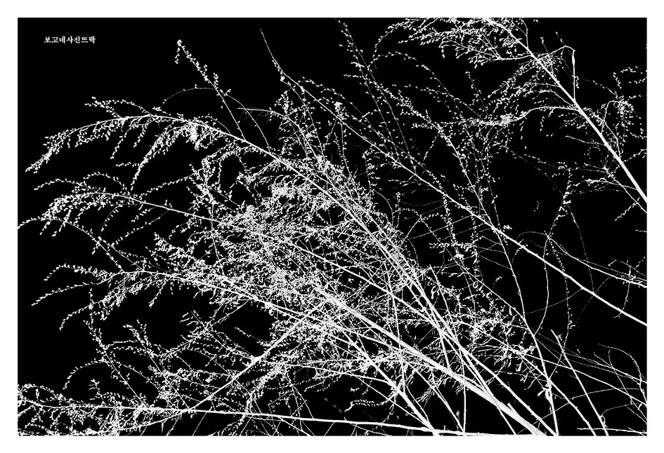 이제는 돌아갈 시간