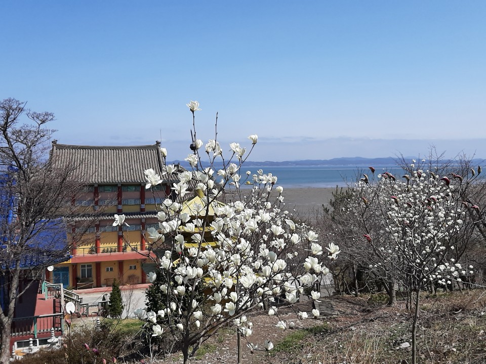 더블클릭을 하시면 이미지를 수정할 수 있습니다