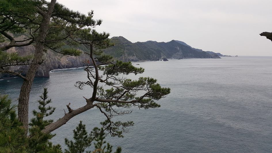 덕화(德和)