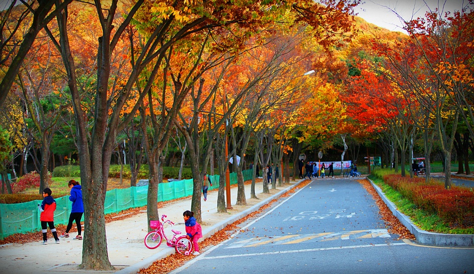 만추의 풍경