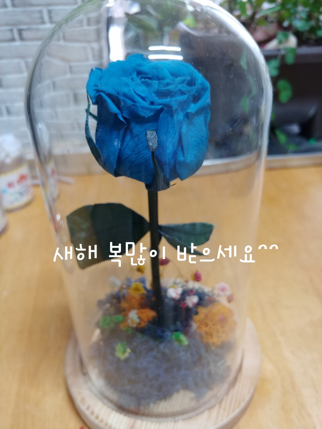 새해복많이 받으세요^^