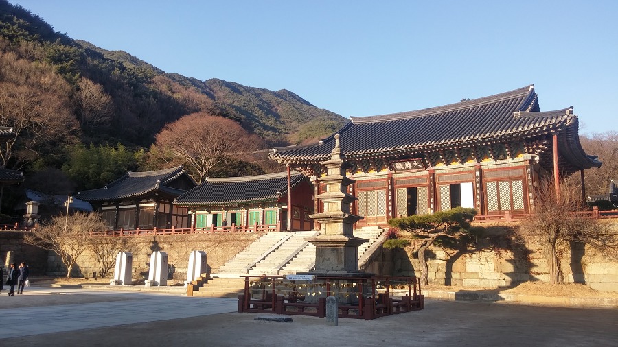 콩코드의 오류