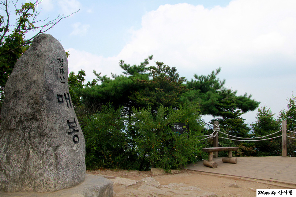 청계산(18.8.4/토)/ 대모산 ~구룡산 야간산행(18.8.11/토)