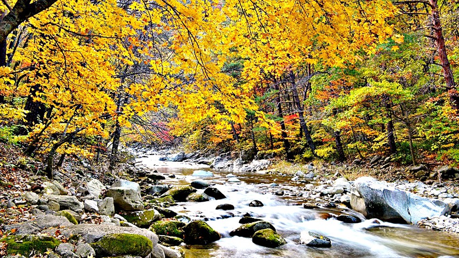 가을이면 진사들은 꼭 가본다는 방태산 이단폭포