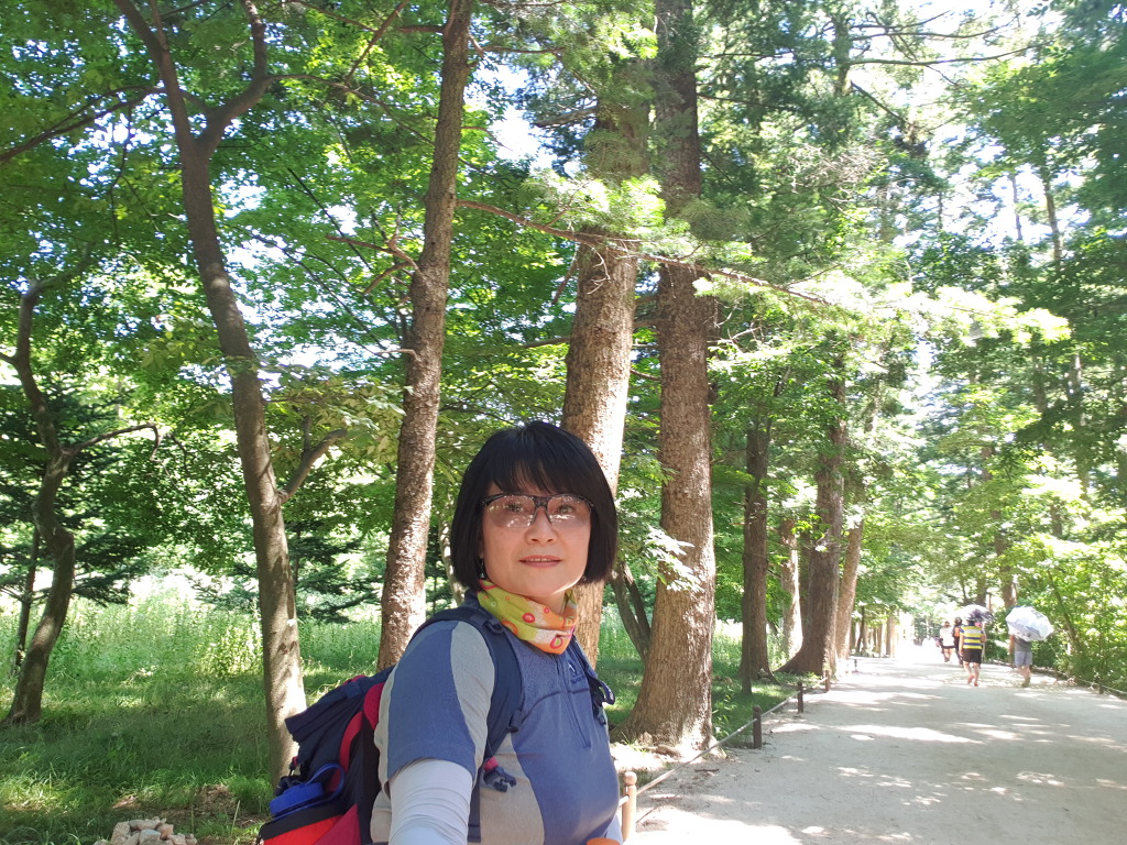 변산반도