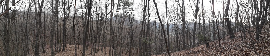 광주 태화산 미역산지나 섭산 웃골산 산길(2019년4월7일)