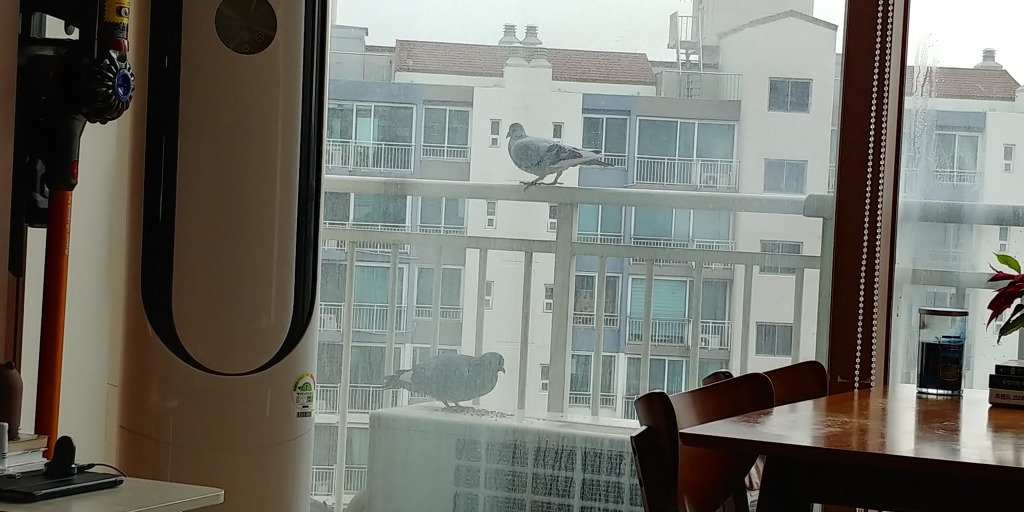 논문 리젝. 상심한 당신에게.