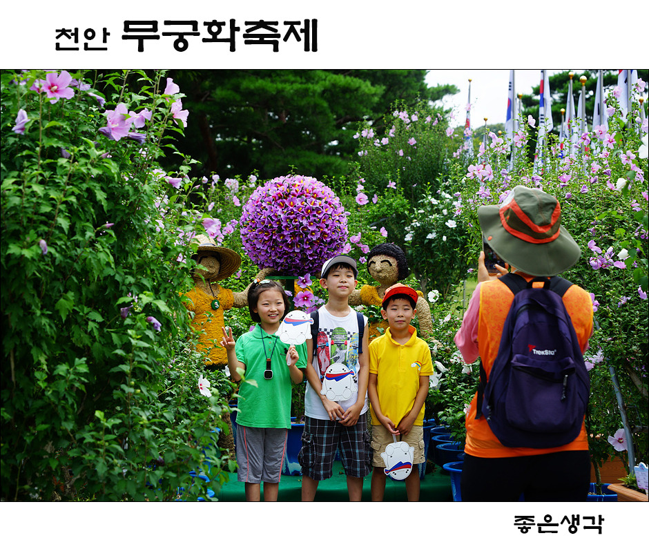 천안 독립기념관 무궁화축제