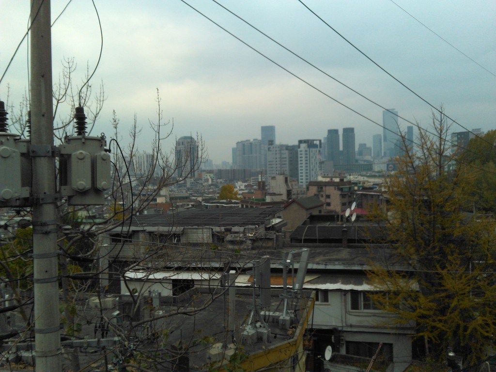 17.11.13(月)