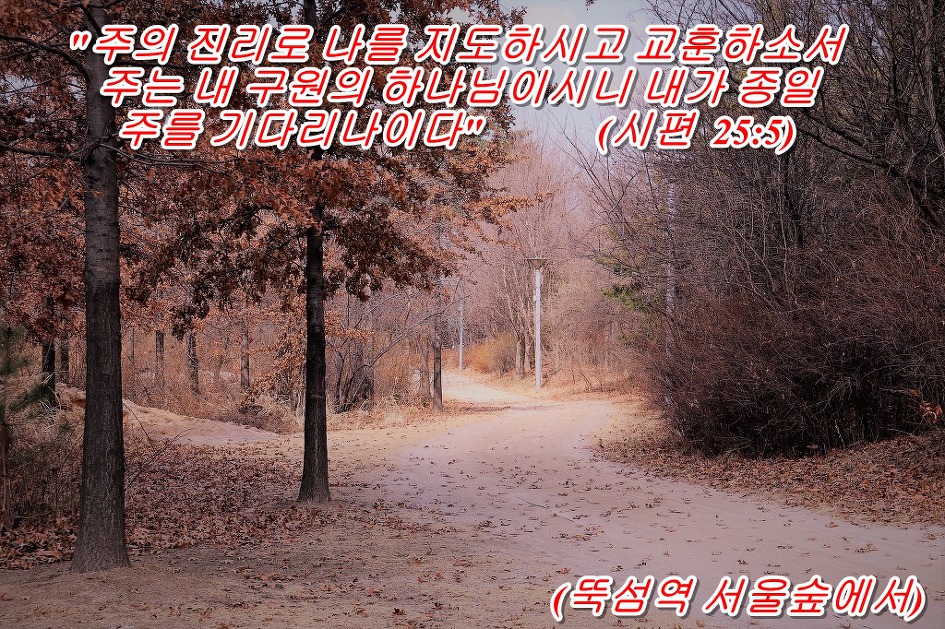 '시편 25장 5절 말씀' 