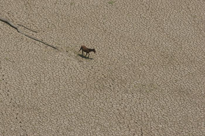 AMAZON -Worst Drought