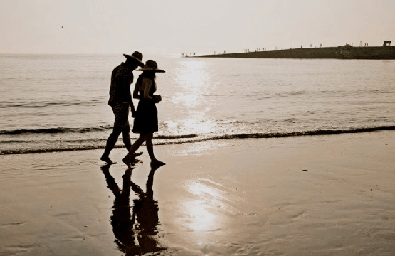 커피에 물새가 보인다