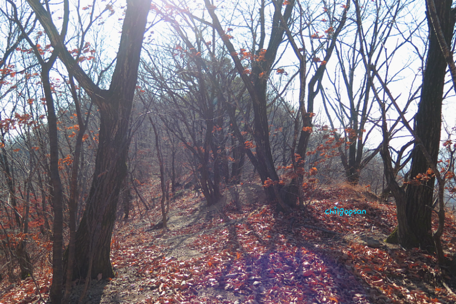 보개바람 이미지