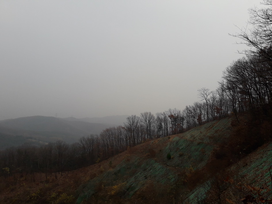 낙엽쌓인 화성 무봉산,함봉산(2018년11월11일)