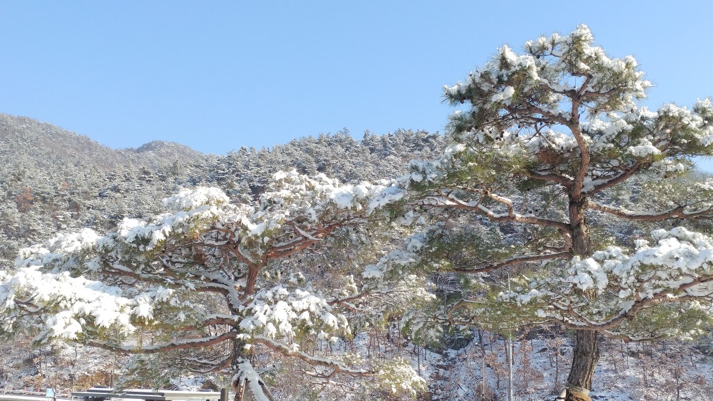 눈온후에 에코랜드