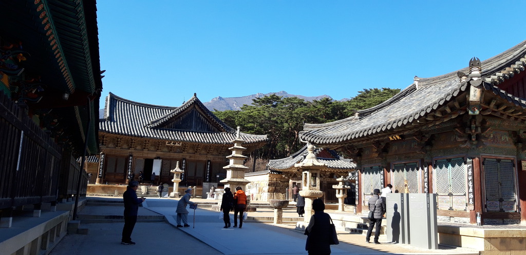솔향 그윽한 통도사