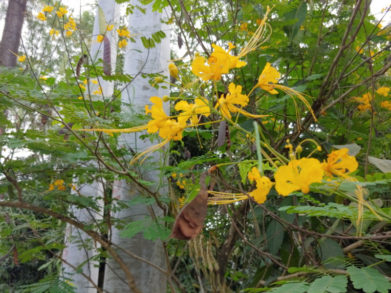 탁발은 일상이다, 담마마마까 수행기24