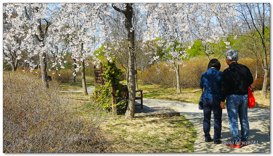 대구수목원 산책