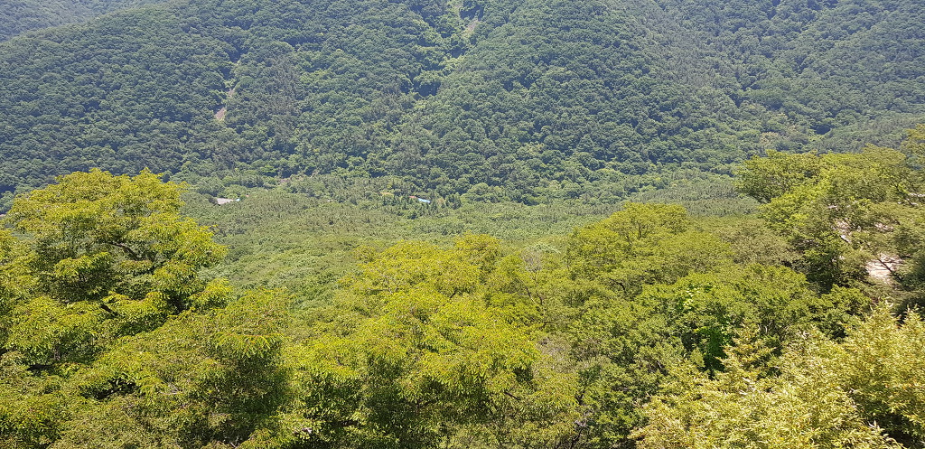 반야산악회 14차 정기산행